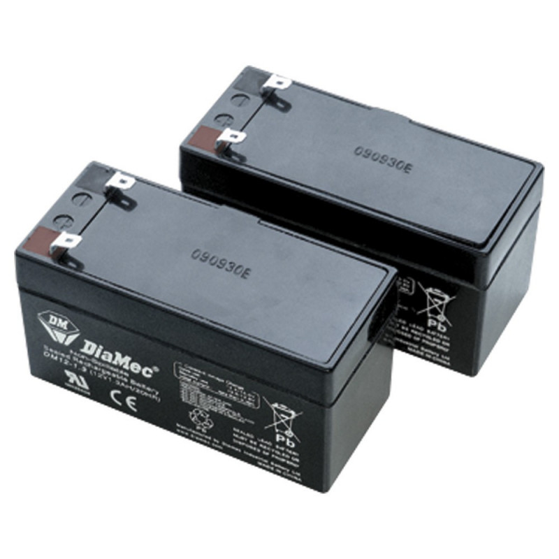 BAT/STOP DEA - Batteries de secours pour automatisme 24 V